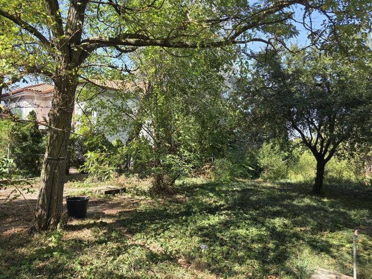 Vanzare teren cu deschidere la lac, zona Ciofliceni - Sangov. - 5