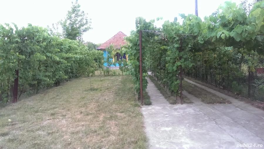 Se vinde casa pe Calea Martirilor 107. Pre? 160 000 euro. - 1