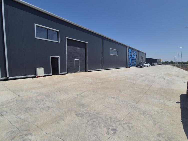 Hale de Inchiriat 600 mp Chitila - 3