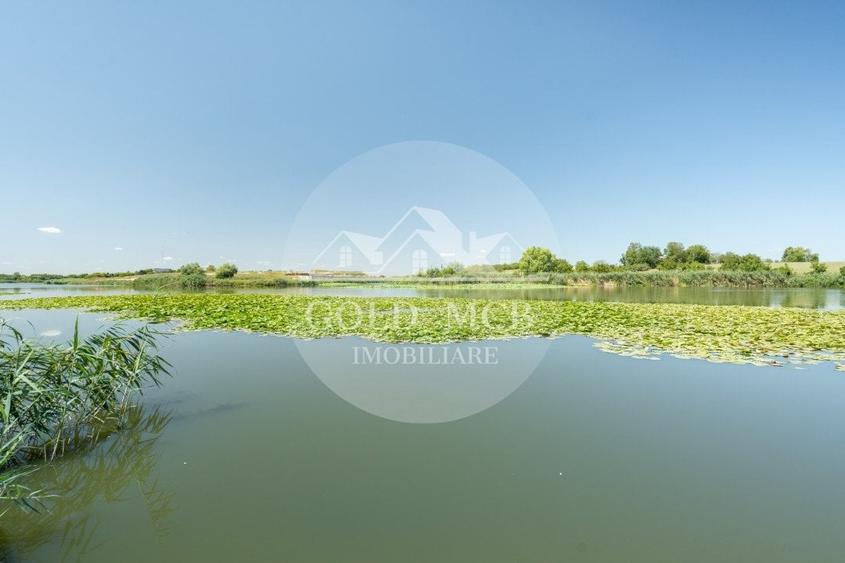 Vila cu piscina pe malul lacului-Snagov -Ciofliceni - 5