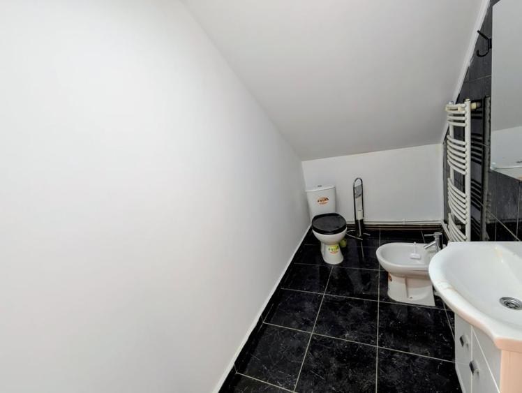 Casa individuala 5 camere P+M 196 mpt + 1200 mp teren asfalt - Horlesti (Rediu) - 20