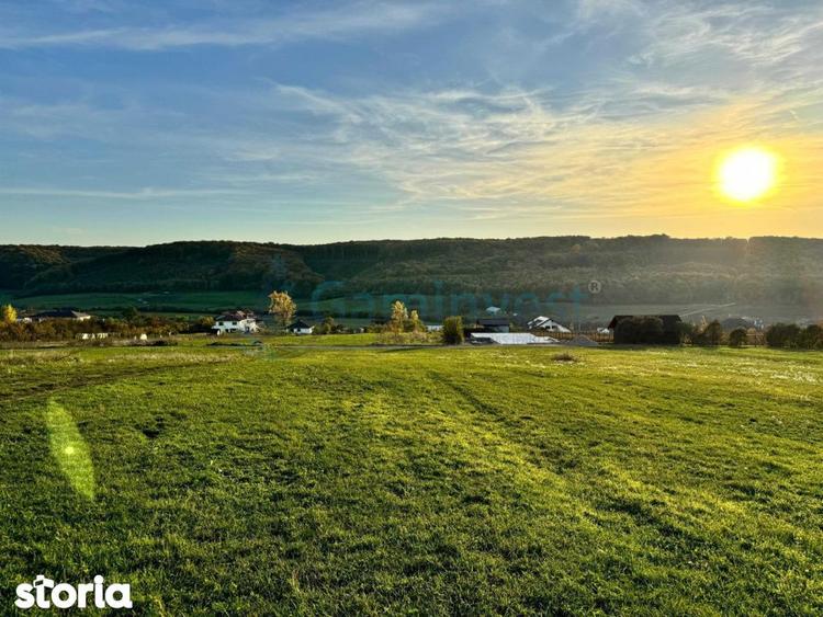 Teren de vanzare in Betfia, 5487 mp intravilan, Bihor, Gaminvest-V4571 - 6