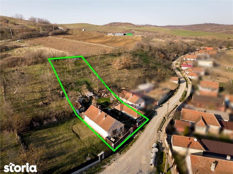 RECO Casa la tara intr-o zona pitoreasca, la 28km de Oradea - 10