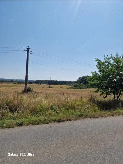 Teren in Targu-Carbune?ti - 12500 mp - 1