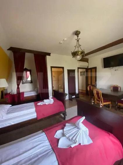 Conac de vanzare 7 camere, baie proprie, crama, ciubar ?i poten?ial - 9