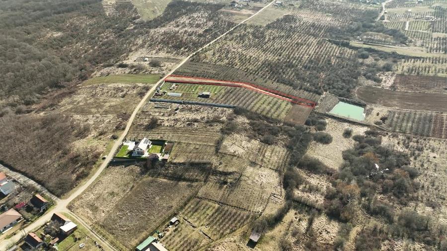 RECO TEREN INTRAVILAN IN PALEU - 4