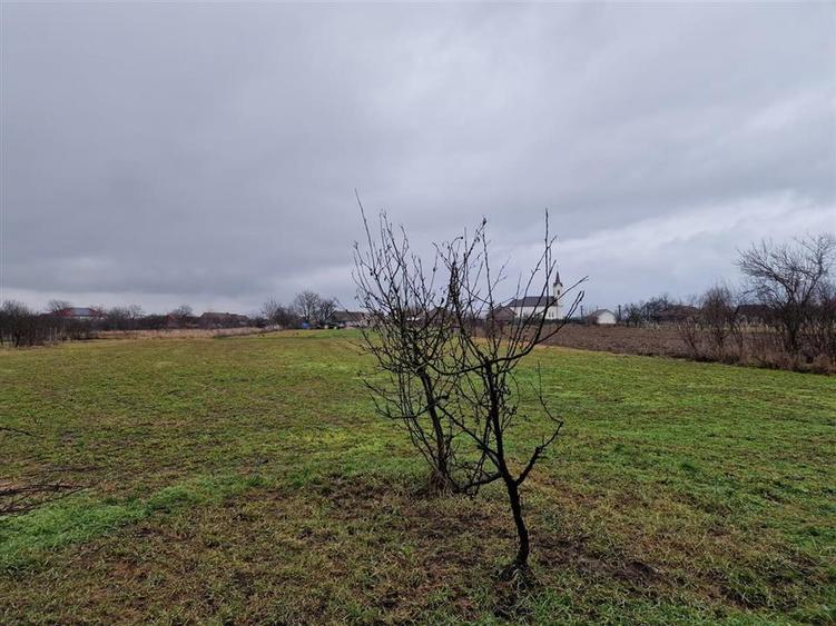 Casă individuală cu 4 camere cu Teren 4600 Mp în Gepiu