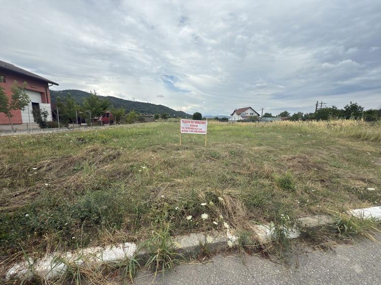 Teren de vanzare - 1
