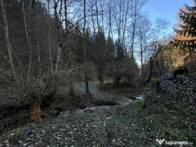 Teren 2.882 mp oportunitate investitie - Cheile Dambovi - 5