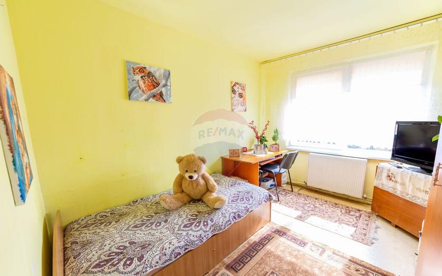 4 camere spa?ioase, etaj 1, zona verde ?i lini?tita - 10