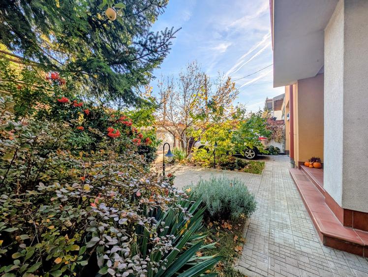 Jiului-Coralilor-Damaroaia,eleganta,robusta,garaj,curte intima,vegetatie matura - 4