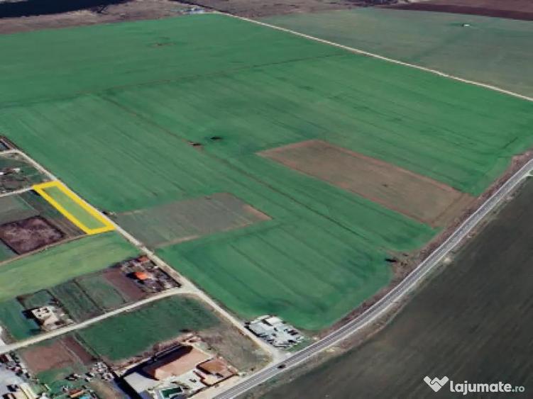 Teren intravilan Fundulea 1000 mp - 1