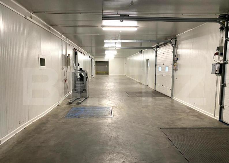 Depozit Frigorific ?i Hala Produc?ie, Oradea, 6200mp - 2