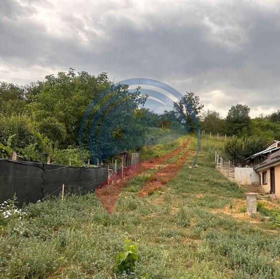 Teren de vanzare in Breasta - 1