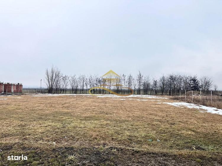 Teren de vanzare Siretu Saucesti Bacau - 3