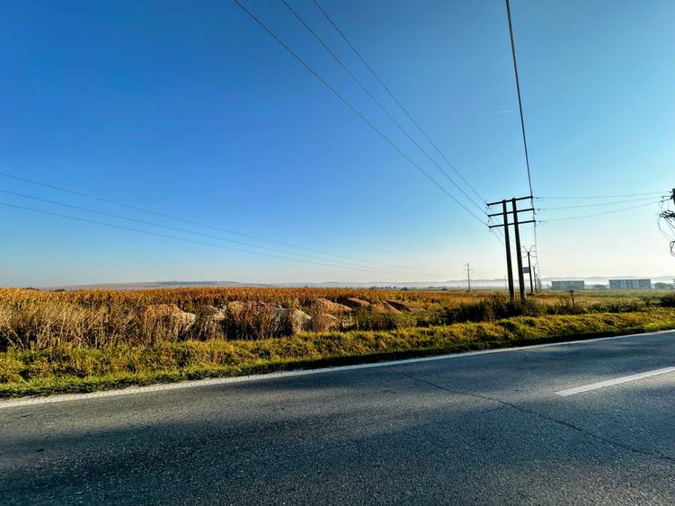 Vanzare teren 10.000mp Calea Surii Mici, direct de la proprietar! - 6