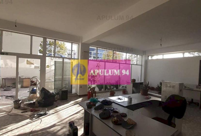 Centru de afaceri cu vad comercial - 9