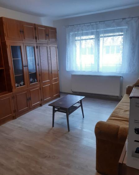 P.F apartament 2 camere decomandate Dumbravii Siretului - 10