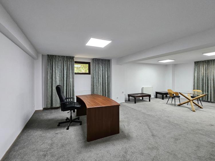 Spatii birou Grozavesti - Demisol, Parter si Etaj 1 - 7