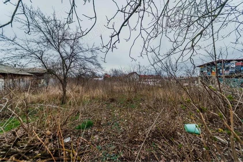 Teren 1.216 mp intravilan cu casa veche 58 mp - Vladimirescu - 4