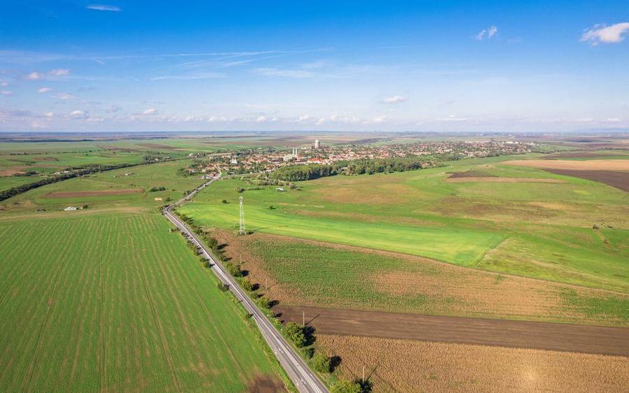 Teren de 104000 mp in Vinga - 5