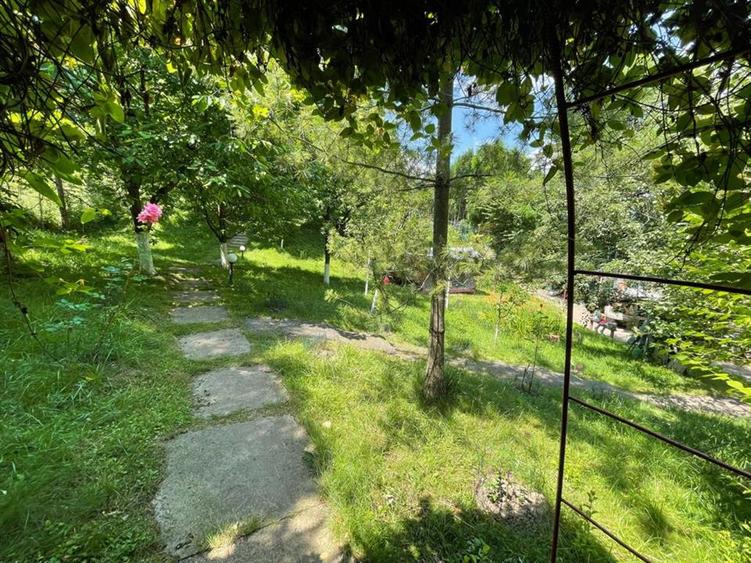 Vila 5 camere | Teren 5283 mp | Breaza - Comarnic | Gura Beliei - 7