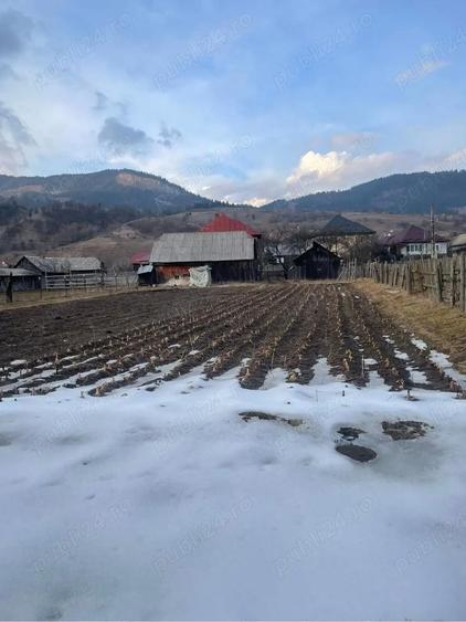 Casa+teren de vanzare - 6