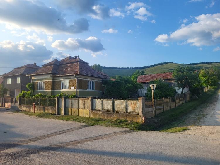 Vanzare casa sat Asinip, comuna Lopadea Noua, jud Alba, la 15km de Aiud - 6