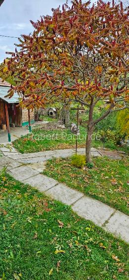 Casă +teren Casă +teren