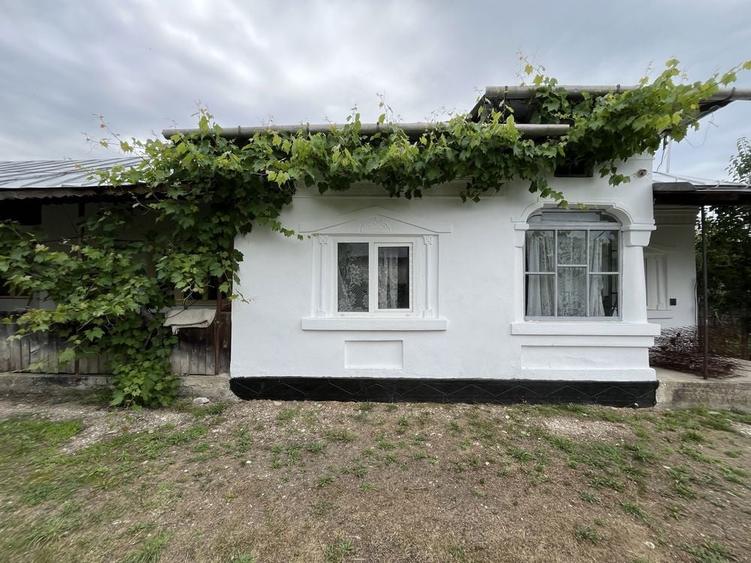 Casa plus anexe 1000 mp - 2