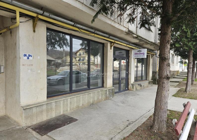 Spatiu comercial de inchiriat 110 mp Central Fieni - 3