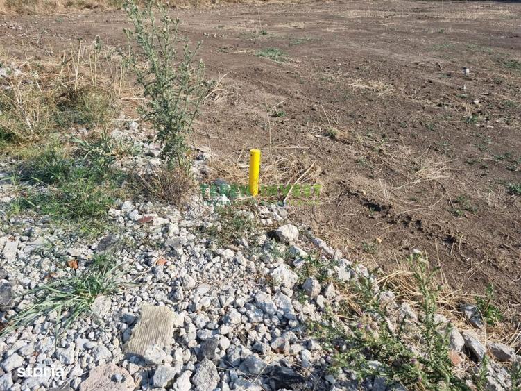 DN 4 Frumusani - Proprietar ofer spre vanzare teren 500 mp - 10