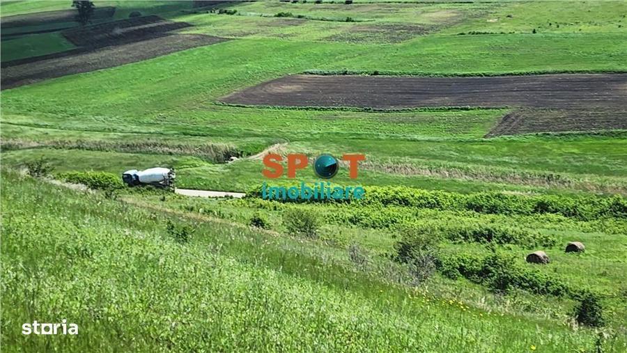 Teren extravilan 2.5 ha investitie ideala, sat Visa - 7