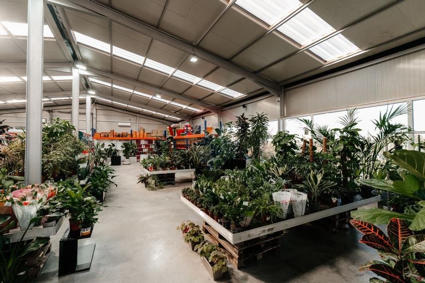 Spatiu industrial de 457mp de vanzare in zona Calea Santandrei - 7