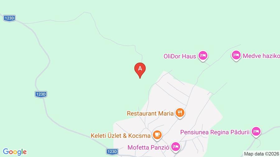 Casă nouă 2023, teren mare 1800 m² – zonă liniștită, Sântimbru-Băi - 1