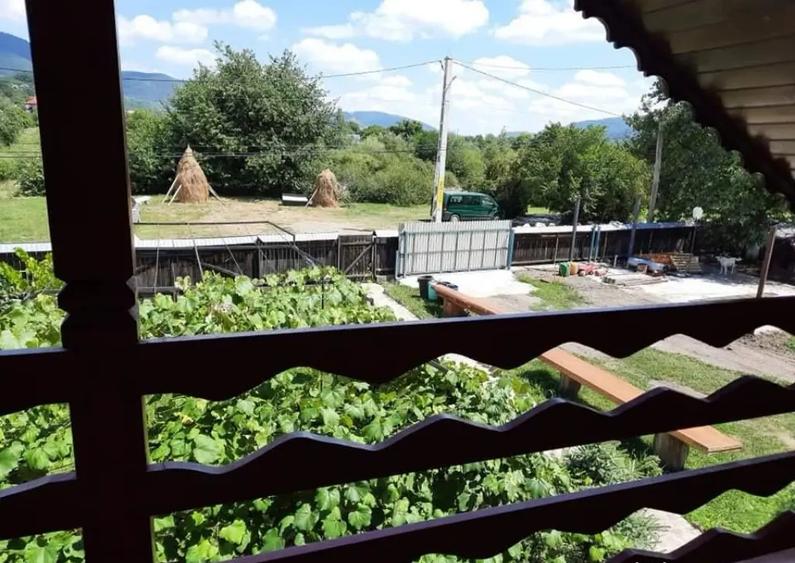 Casa moderna 215mp cu teren 2000mp si teren separat 3000mp Vaduri - 14