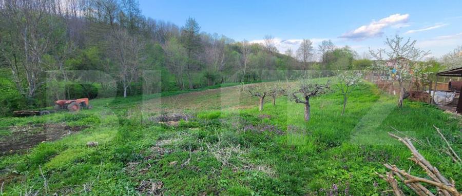 Teren 6650 mp, cu casa nefinalizata de 111 mp, in Nisipoasa - 7