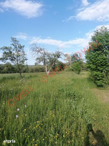 Teren de 8079 mp, în Estelnic