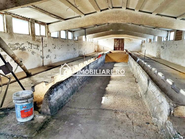 Spațiu industrial, de 1,000 mp, în Nazna