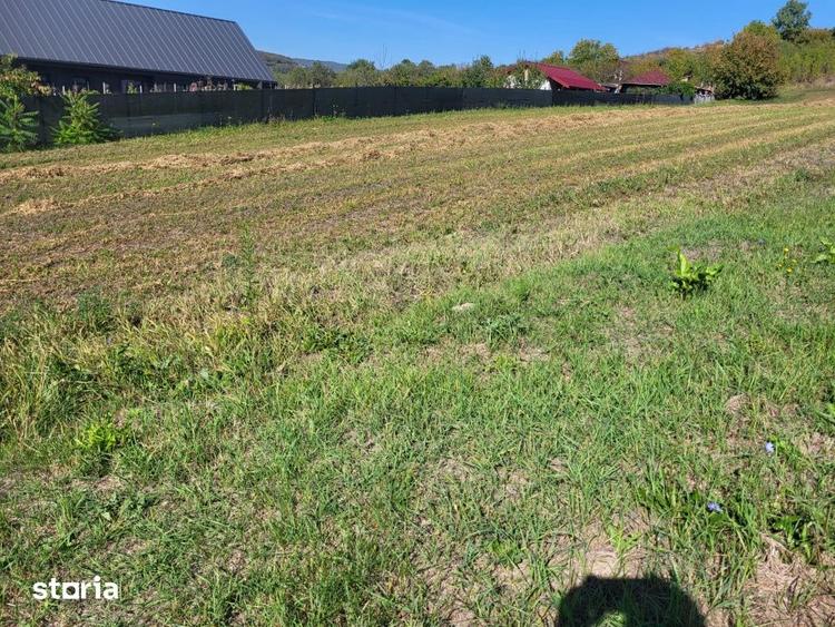 Teren de 3600 mp, în Baciu
