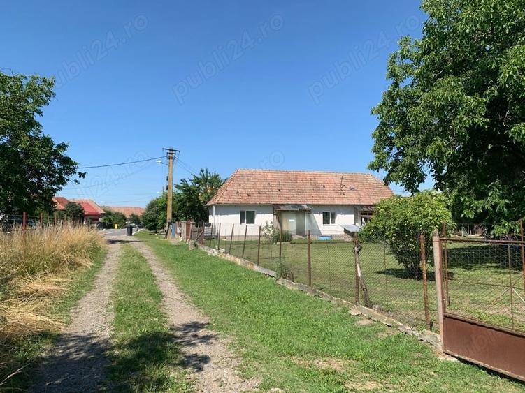 Teren de 7726 mp, în Vidrasău
