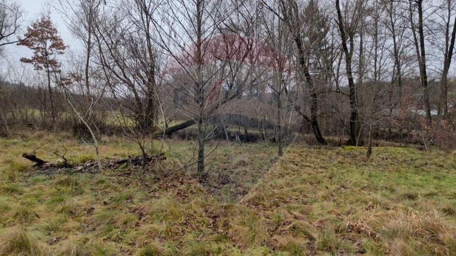 Teren 2,932mp Sarbi (Budesti) / Drumul Principal - 2