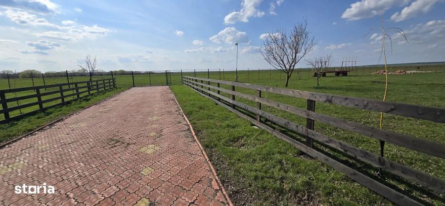 Ferma Zootehnica de Vanzare 6 Ha | Vaci si Oi | Grajd si Saivane | Cal - 9