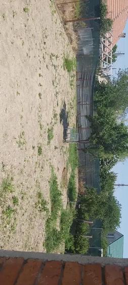 Casa de vanzare in Vladimirescu - 4