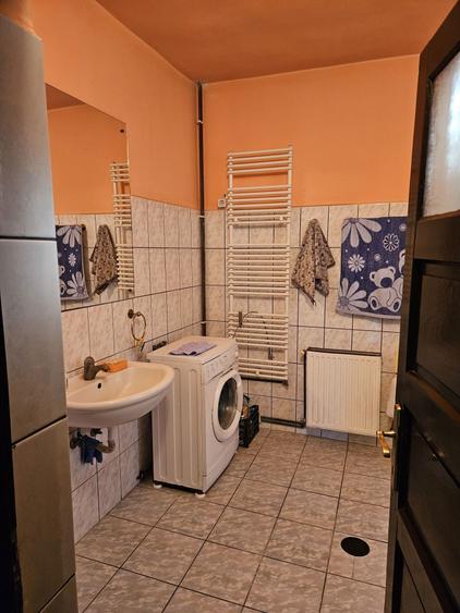 Casa 2 familii / firma + livada Satu Mare - Cionchesti - 6