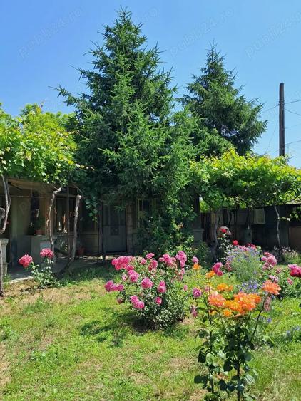 Vand casa + curte + spatiu comercial, ideal locuinta + afacere, Braila - 10