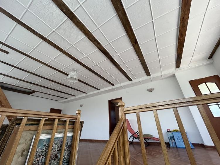 VAND O VILA IN PADUREA DIN FILIPESTI - 25