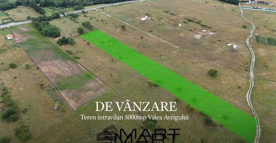 Teren intravilan 5000mp Valea Avrigului - 3