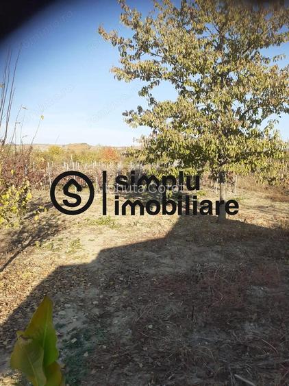 Casa Bradesti, teren 1239 mp - 29 995 Euro Casa Bradesti, teren 1239 mp - 29 995 Euro