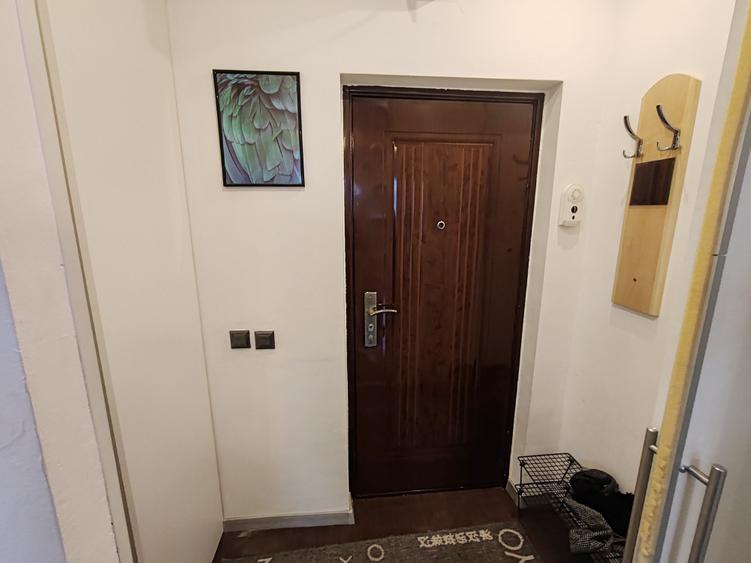 Garsoniera libera la vanzare, in vila zona Grivitei - 12